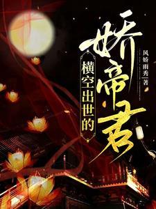 横空出世 简介