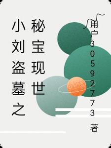 盗墓贼刘去