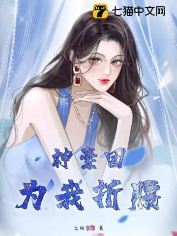 神豪团队