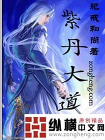 紫丹纸业有限公司