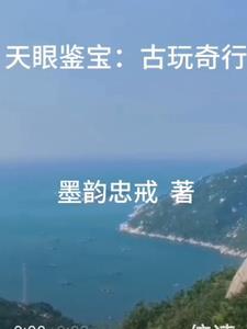 古玩天眼有声