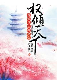 权倾天下王妃狠角色