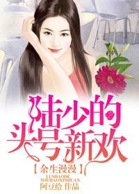 陆少的头号宠婚 全文免费