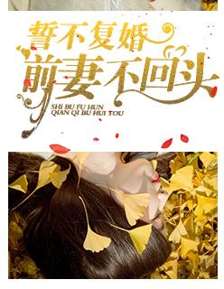 前妻不肯复合免费阅读