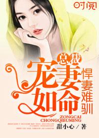 悍妻在上霸道总裁追妻令