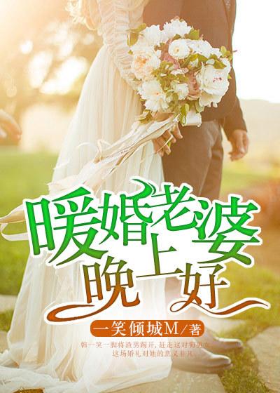 暖婚老婆晚上好电视剧全集在线观看免费