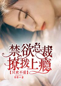 总裁只欢不爱凉烟