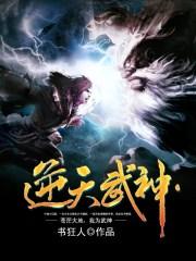 逆天武神TXT书狂人