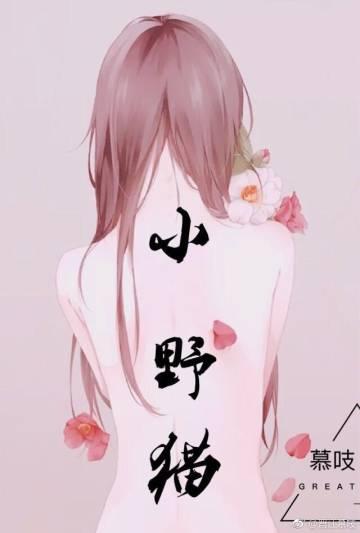 小野猫文化传媒有限公司