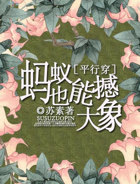 蚂蚁能抬动大象吗