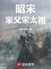 昭宋家父宋太祖奇书网