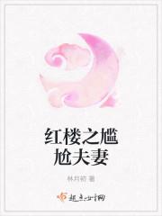红楼之尴尬人生