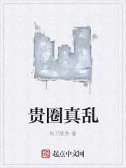 贵圈太乱下一句怎么会
