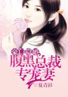 豪门隐婚腹黑总裁专宠妻 聚合中文网