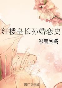 红楼之皇长孙婚恋史