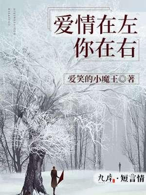爱情在左未来在右