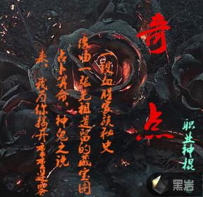 奇点控股