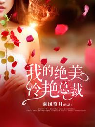 我的绝美冷艳总裁TXT