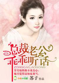 总载老公乖乖听话
