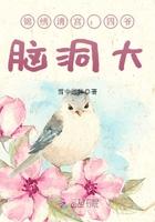 锦绣清宫 四爷 脑洞大