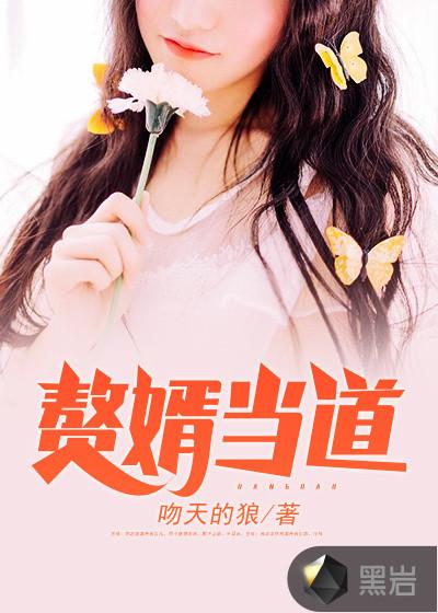我是赘婿结婚后所有孩子随母姓