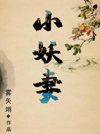 夫君是未来大魔王怎么办1