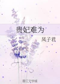 贵妃难为番外