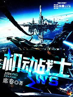 机动战士武斗传g高达