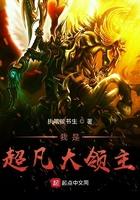 超凡大领主起点