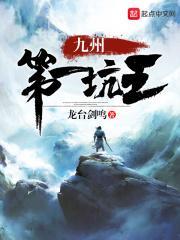 九州第一战婿