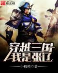穿越之我是张辽