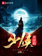 少侠挂个机兑换码