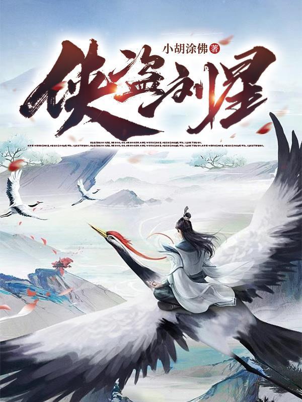 侠盗风流01