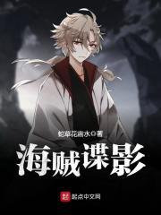 海贼碟影txt