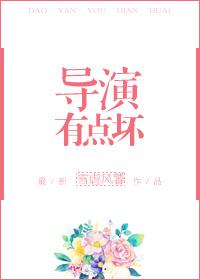导演有点坏无防盗
