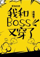 我与boss的二三事宋璃