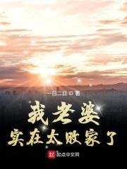 婚后日常一共11章