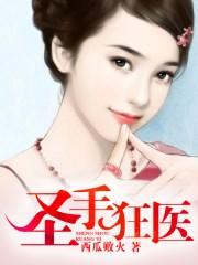 圣手狂仙笔趣阁