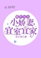 小娇妻重生九零