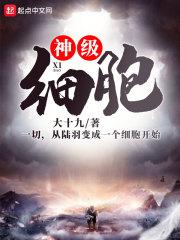 神经细胞的功能
