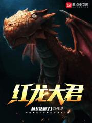 红龙大君精灵刺客