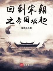 回到宋朝之帝国崛起百科