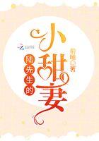 陆先生宠妻百分百!