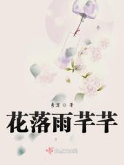 花落雨季