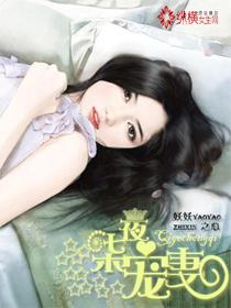 七夜宠妻很霸道全文免费
